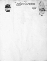 Image of Arthonia galactites